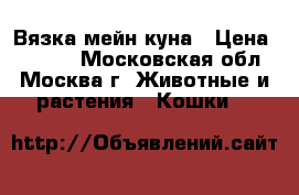 Вязка мейн куна › Цена ­ 5 000 - Московская обл., Москва г. Животные и растения » Кошки   